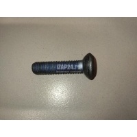 Болт VAG R8 (2007 - 2015) WHT000237