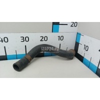 Патрубок радиатора Toyota Prius (2009 - 2015) 1657237120