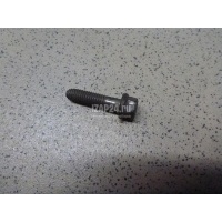 Болт Renault Megane III (2009 - 2016) 7703002949