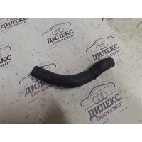 патрубок радиатора VW Passat (B6) 2005-2010 2008 3C0122101EP