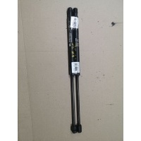 Амортизатор багажника 9637115080 на Peugeot 206cc Peugeot 9637115080 9637115080