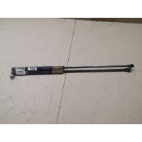 Амортизатор двери 9647295480 на Citroen C4 UA RFJ Citroen 9647295480 9647295480