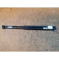 Амортизатор двери 51247127875 на Bmw 3-Series E91- Bmw 51247127875 51247127875