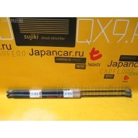 Амортизатор двери WBAAX52060JY64388 51248232873 на Bmw 51248232873 51248232873