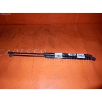 Амортизатор двери 8D9827552D на Audi A4 Avant 8DAP Audi 8D9827552D 8D9827552D