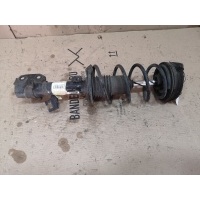Стойка амортизатора 315 647, 333397, 54303AX002, 5 Nissan 315647 315647
