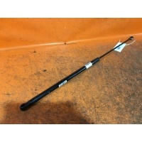 Амортизатор капота 8T0823359 на Audi A4 8K Audi 8T0823359 8T0823359