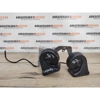 Звуковой сигнал RENAULT Laguna 3 2012 256100008R