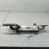 Охладитель отработанных газов Volkswagen Sharan (2000-2010) 2003 038131513L