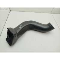 Воздуховод BMW 5 E39 (1995-2003) 2003 2247826