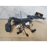 Проводка двери задней правой Volkswagen Touareg 2 2012 7P6971693,7P6971694D