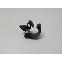 Крепеж Nissan Patrol (Y62) 2010 80897AM800