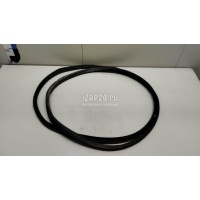 Уплотнитель двери Ford Focus III (2011 - 2019) 1728576