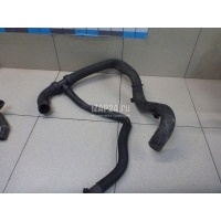 Патрубок радиатора Renault Scenic III (2009 - 2015) 215030032R