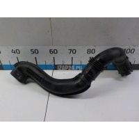 Патрубок воздушного фильтра Renault Duster 2012 165555731R