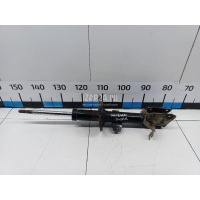 Амортизатор передний Renault Duster 2012 543025648R