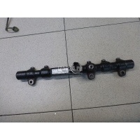Рейка топливная (рампа) Ssang Yong Rodius (2005 - 2013) 6650700295