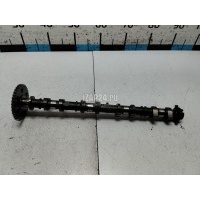 Распредвал впускной Mazda Mazda 5 (CW) (2010 - 2016) L82712420