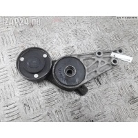 Механизм натяжения ремня, цепи Volkswagen Passat B5+ (GP) 2001 950442