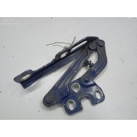Петля капота правая Opel Corsa D 2009 13311903