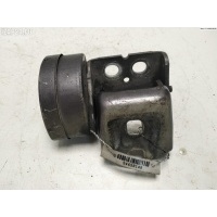 Петля двери задней правой Renault Scenic II (2003-2009) 2005 04905