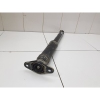Амортизатор задний Haval Jolion 2021- 2915105XGW01A