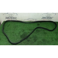 уплотнитель двери BMW X5 E70 2007-2013 51767333813