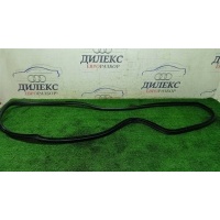 уплотнитель двери BMW X5 E70 2007-2013 51767333814