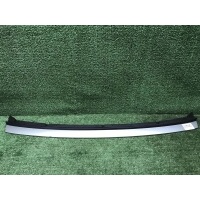 Кожух замка капота EXEED Rx (2023-Н.В.) 602002488AA
