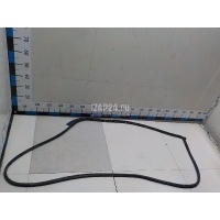 Уплотнитель двери Ford Ranger (2012 - 2015) 5310933