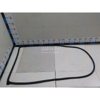 Уплотнитель двери Ford Ranger (2012 - 2015) 1925852