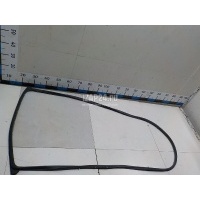 Уплотнитель двери Ford Ranger (2012 - 2015) 1925854