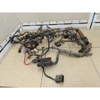 Проводка (коса) Chrysler Voyager/Caravan (RG) 2001-2008 4869599AJ