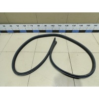 Уплотнитель двери FORD Focus III 2011> 1750006