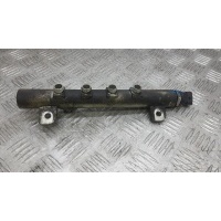 Топливная рампа дизельная ALFA ROMEO GT (2004-2010) 2008 0445214058, 55209575