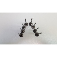 Клапан выпускной Ssang Yong Rodius (2005 - 2013) 6650500127