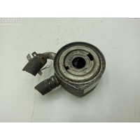 Теплообменник Renault Kangoo I (1998-2008) 2002 5.179.999