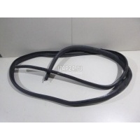 Уплотнитель двери Renault Sandero 2014 769249388R
