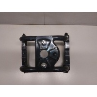 Кронштейн крепления запасного колеса Ford EcoSport 2013 1862308
