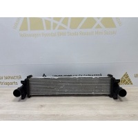 Радиатор интеркулера Exeed RX T22 2023-2024 302000800AA