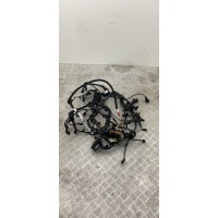 Проводка двигателя BMW 4 F32/F33/F36 2019 12518571084,8571084