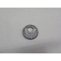 Шайба эксцентриковая (п.п.к) Tesla Model S 2012 2007107