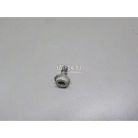 Болт крепления дверной петли VAG Transporter T6 2015 N91049001