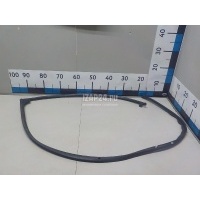 Уплотнитель двери Citroen-Peugeot C4 Picasso (2014 - 2018) 9677296380