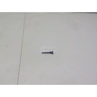Штифт Citroen-Peugeot C4 Picasso (2014 - 2018) 1610017980