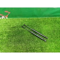 Амортизаторы капота AUDI TT 8J 2007 8J0823359C