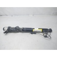 Амортизатор Exeed RX 202001086AA