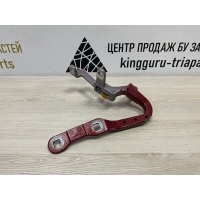 Петля двери багажника BMW X4 G02 2017-2020 41007482677
