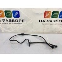 форсунка омывателя Renault Duster HSM 2012 289321198R