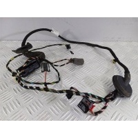 Проводка двери задней правой Skoda Superb 2016 3V0971694H